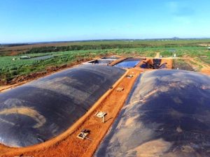 Cách xử lý phân heo làm biogas: Câu chuyện từ trại 500 con Vĩnh Long