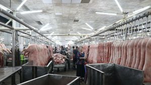 Giá thịt heo tại chợ đầu mối TP.HCM tuần qua và những biến động